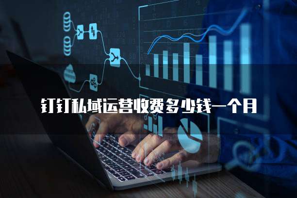 钉钉私域运营收费多少钱一个月