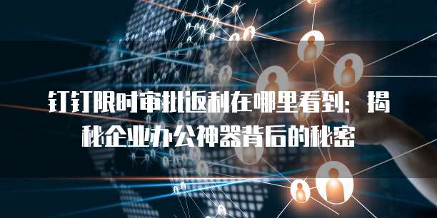 钉钉限时审批返利在哪里看到：揭秘企业办公神器背后的秘密
