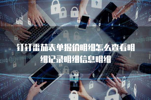 钉钉番茄表单报价明细怎么查看明细记录明细信息明细