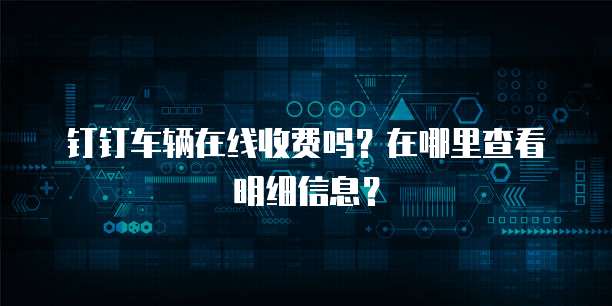 钉钉车辆在线收费吗？在哪里查看明细信息？
