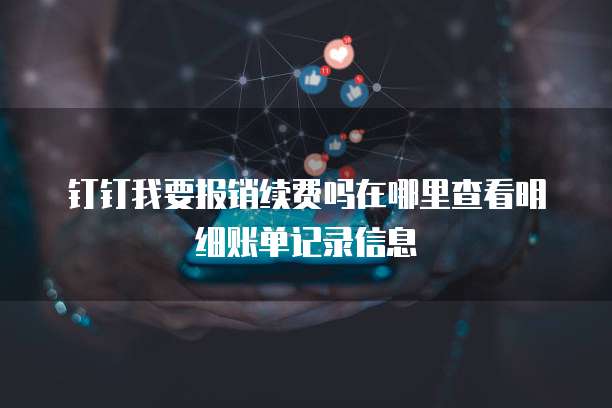 钉钉我要报销续费吗在哪里查看明细账单记录信息