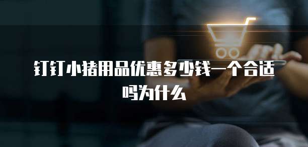 钉钉小猪用品优惠多少钱一个合适吗为什么