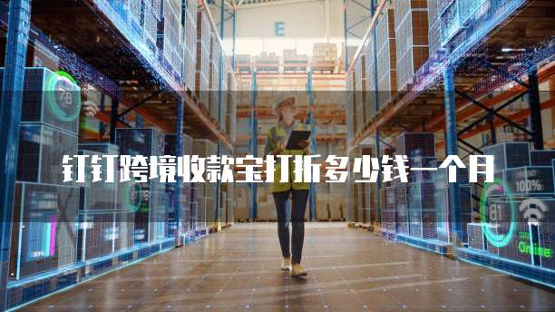 钉钉跨境收款宝打折多少钱一个月
