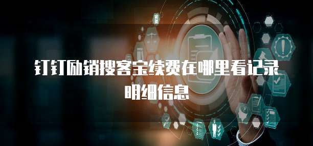 钉钉励销搜客宝续费在哪里看记录明细信息