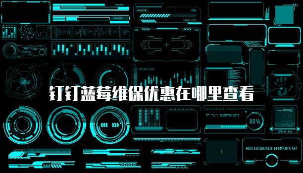 钉钉蓝莓维保优惠在哪里查看