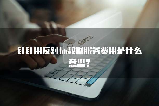 钉钉用友对标数据服务费用是什么意思?