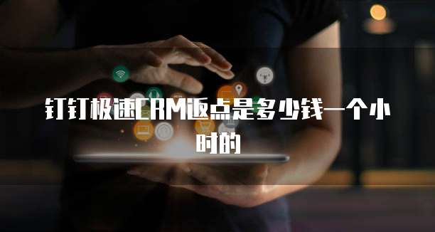 钉钉极速CRM返点是多少钱一个小时的