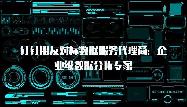 钉钉用友对标数据服务代理商:企业级数据分析专家