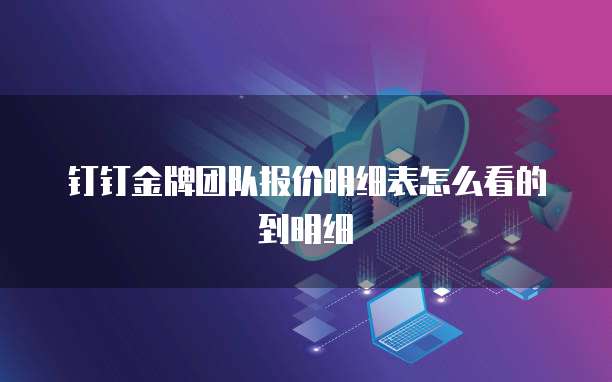 钉钉金牌团队报价明细表怎么看的到明细