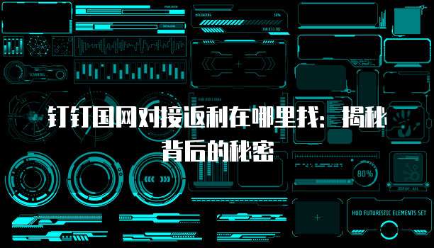 钉钉国网对接返利在哪里找:揭秘背后的秘密