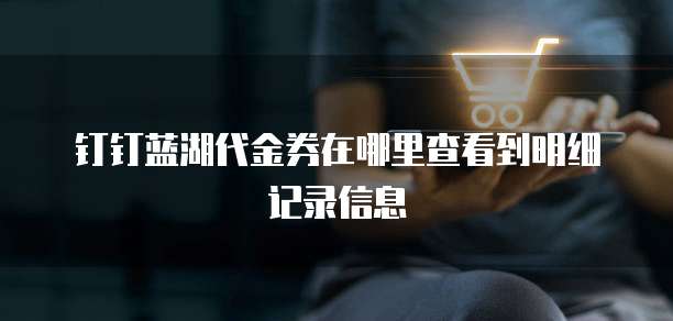 钉钉蓝湖代金券在哪里查看到明细记录信息