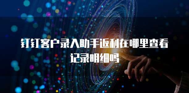 钉钉客户录入助手返利在哪里查看记录明细吗