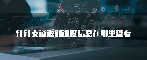 钉钉支道返佣进度信息在哪里查看