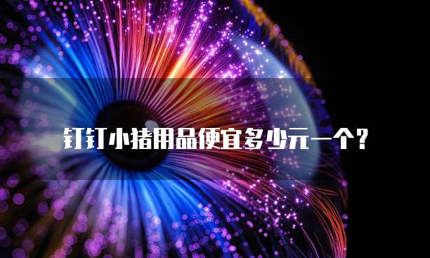 钉钉小猪用品便宜多少元一个?