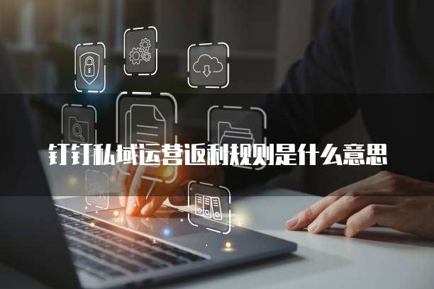 钉钉私域运营返利规则是什么意思