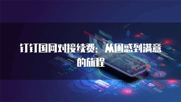 钉钉国网对接续费：从困惑到满意的旅程