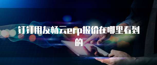 钉钉用友畅云erp报价在哪里看到的