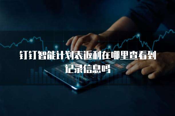 钉钉智能计划表返利在哪里查看到记录信息吗