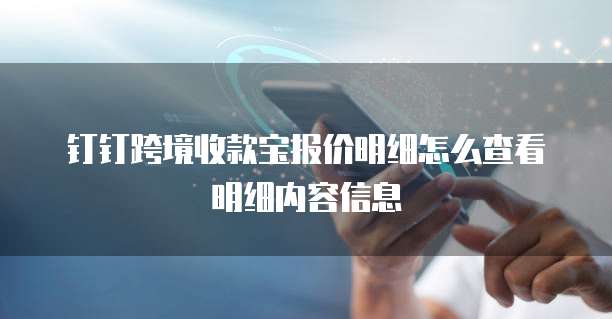 钉钉跨境收款宝报价明细怎么查看明细内容信息