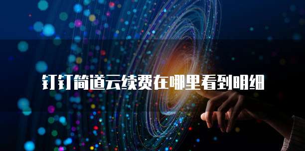 钉钉简道云续费在哪里看到明细
