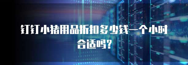 钉钉小猪用品折扣多少钱一个小时合适吗?