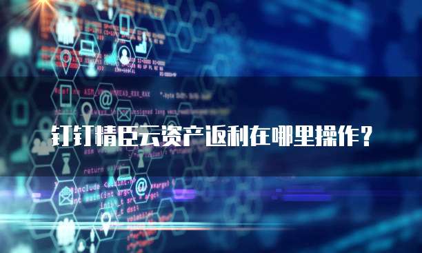 钉钉精臣云资产返利在哪里操作?