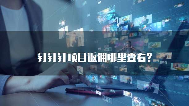 钉钉钉项目返佣哪里查看?