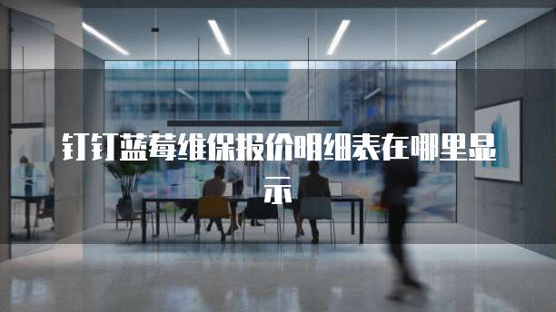 钉钉蓝莓维保报价明细表在哪里显示
