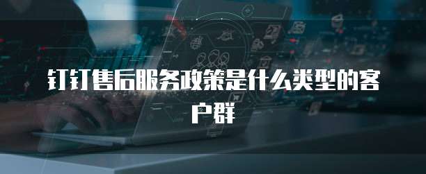 钉钉售后服务政策是什么类型的客户群
