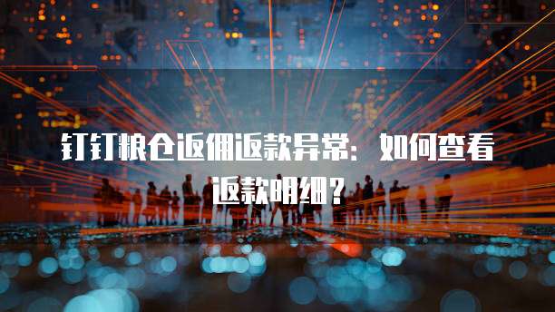 钉钉粮仓返佣返款异常:如何查看返款明细?