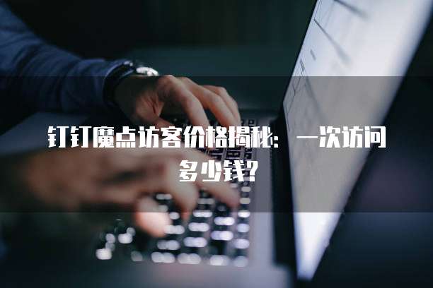 钉钉魔点访客价格揭秘:一次访问多少钱?