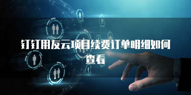 钉钉用友云项目续费订单明细如何查看