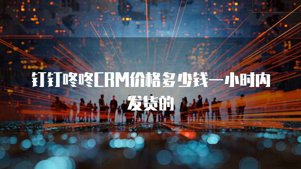 钉钉咚咚CRM价格多少钱一小时内发货的