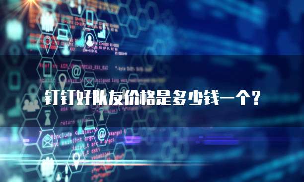 钉钉好队友价格是多少钱一个？