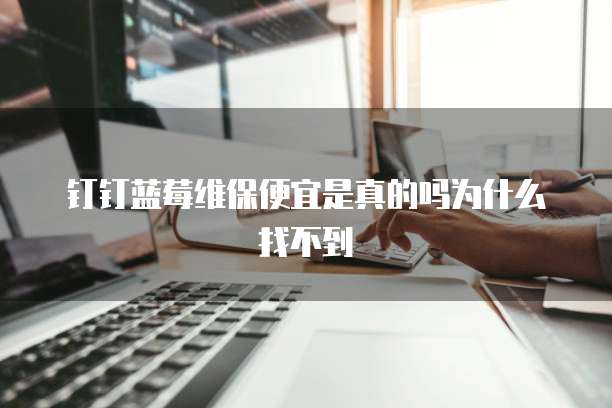 钉钉蓝莓维保便宜是真的吗为什么找不到