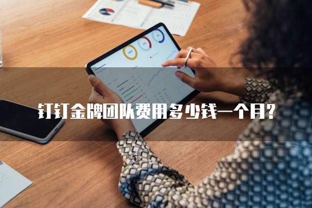 钉钉金牌团队费用多少钱一个月?
