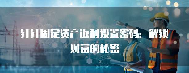 钉钉固定资产返利设置密码:解锁财富的秘密