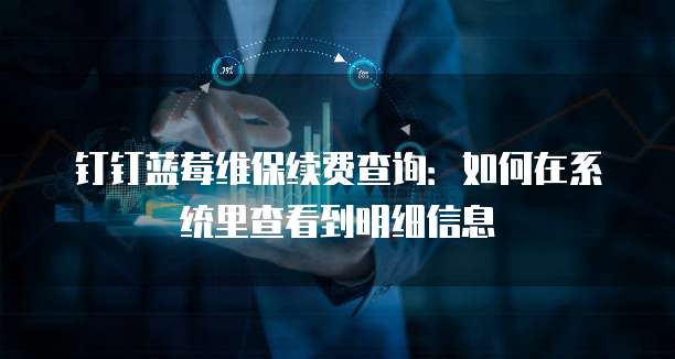 钉钉蓝莓维保续费查询:如何在系统里查看到明细信息