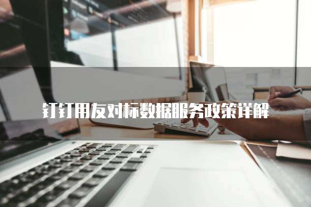 钉钉用友对标数据服务政策详解