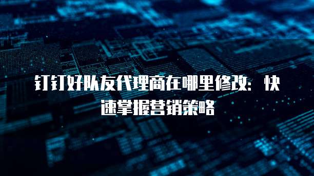 钉钉好队友代理商在哪里修改:快速掌握营销策略