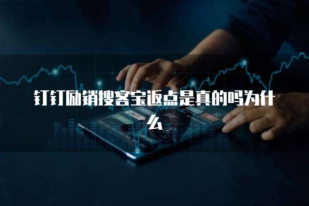 钉钉励销搜客宝返点是真的吗为什么