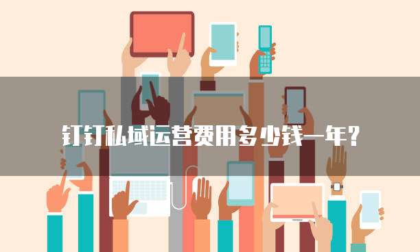 钉钉私域运营费用多少钱一年?