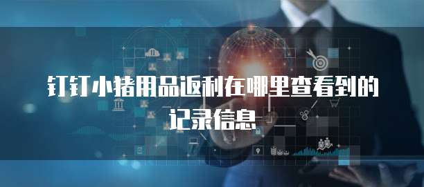 钉钉小猪用品返利在哪里查看到的记录信息
