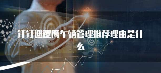 钉钉巡逻鹰车辆管理推荐理由是什么