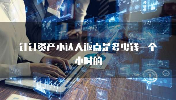 钉钉资产小达人返点是多少钱一个小时的