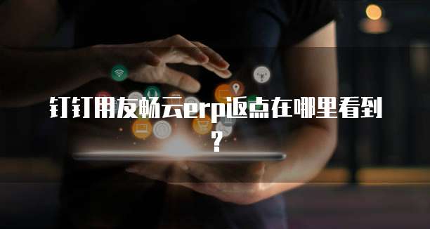钉钉用友畅云erp返点在哪里看到?