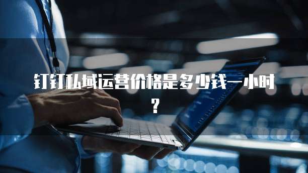 钉钉私域运营价格是多少钱一小时?