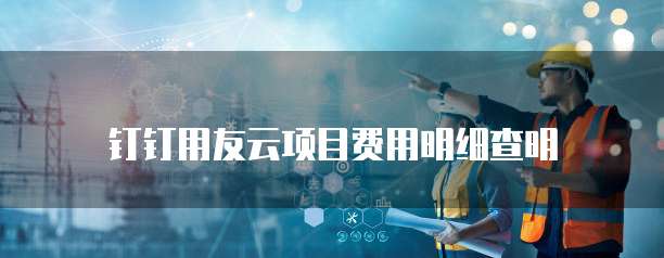 钉钉用友云项目费用明细查明