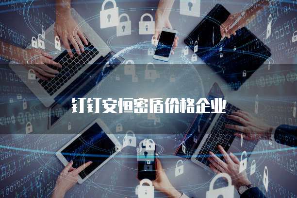 钉钉安恒密盾价格企业