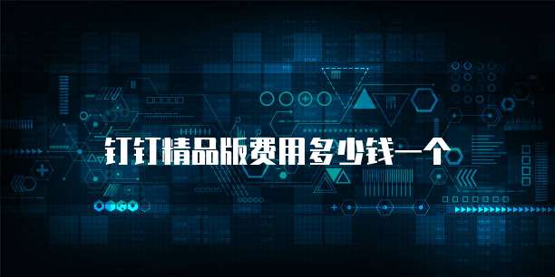 钉钉精品版费用多少钱一个
